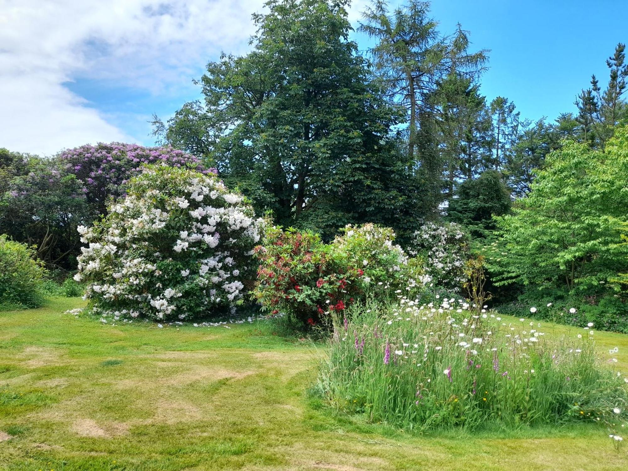 Fairwater Head Otel Axminster Dış mekan fotoğraf